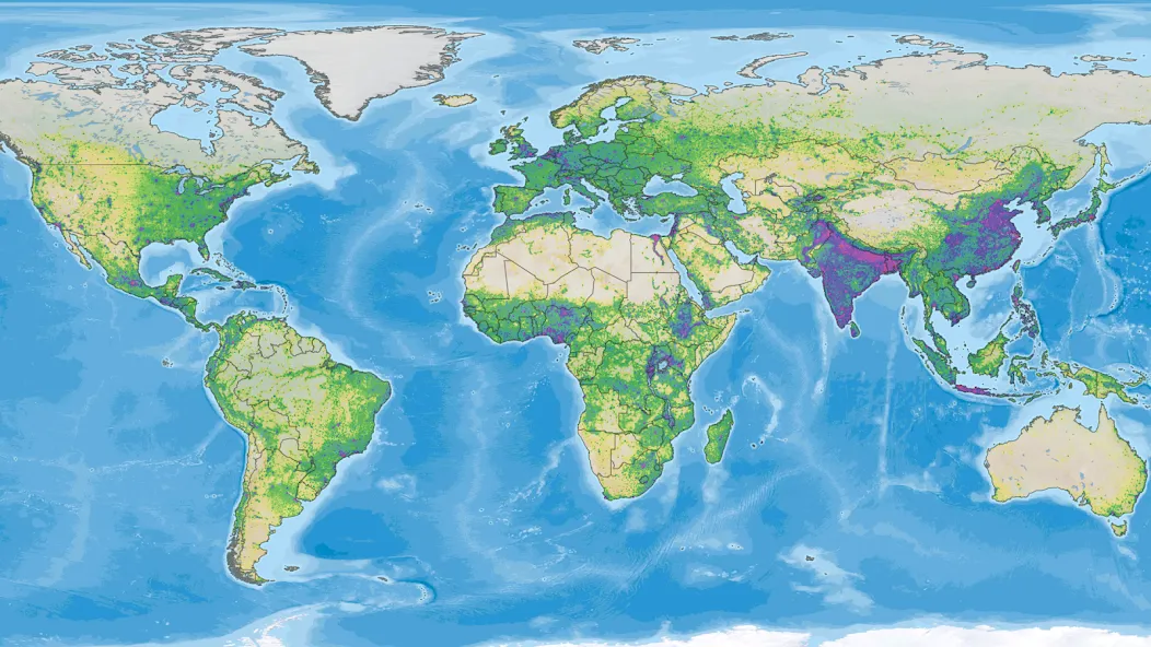 Dummynation (Дамминейшн)  [МОД Много монет] Screenshot 2