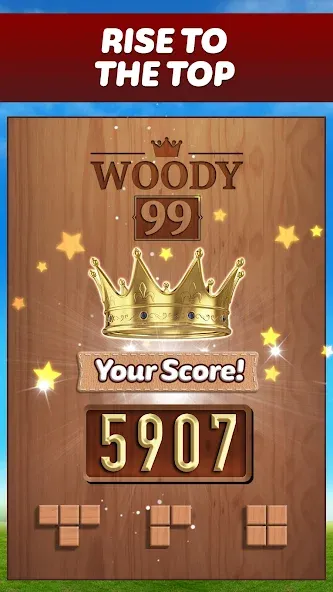 Woody 99 - Sudoku Block Puzzle (Вуди 99)  [МОД Бесконечные деньги] Screenshot 5