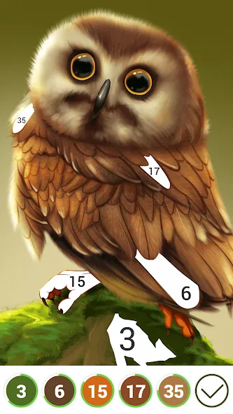 Hola Color--Coloring by Number (ола калор)  [МОД Menu] Screenshot 3