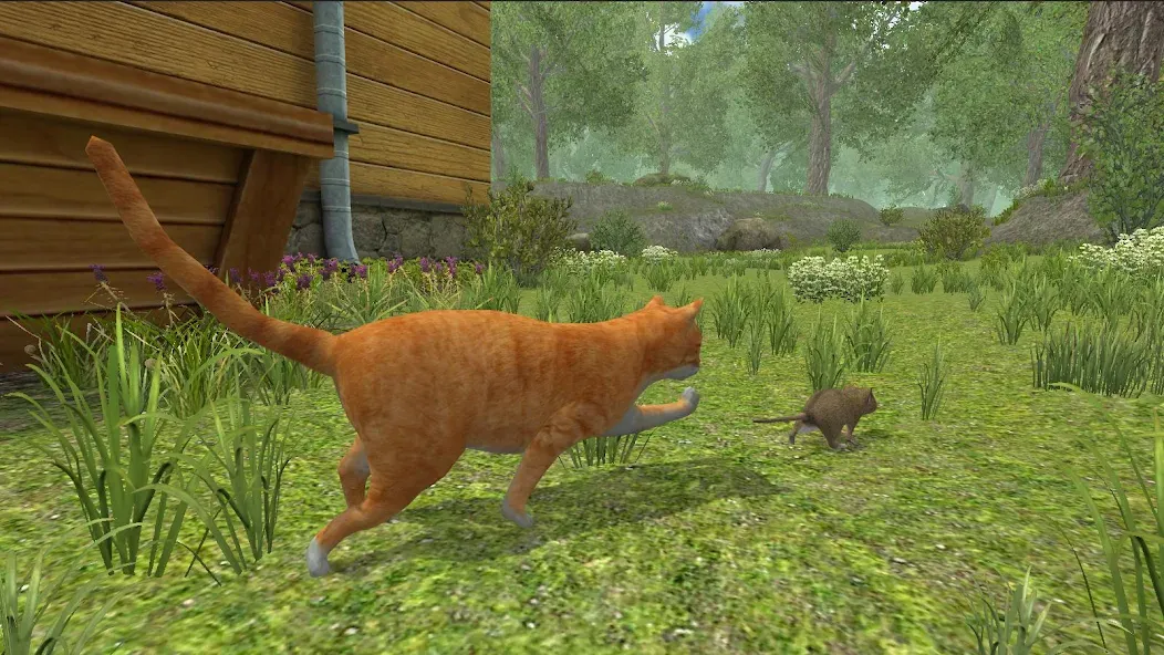 Mouse Simulator :  Forest Home  [МОД Menu] Screenshot 3