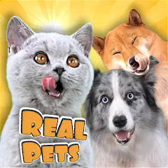 Скачать взломанную Adopt a pet : Corgi Games (Риал Петс бай Фруви)  [МОД Unlocked] - последняя версия apk на Андроид