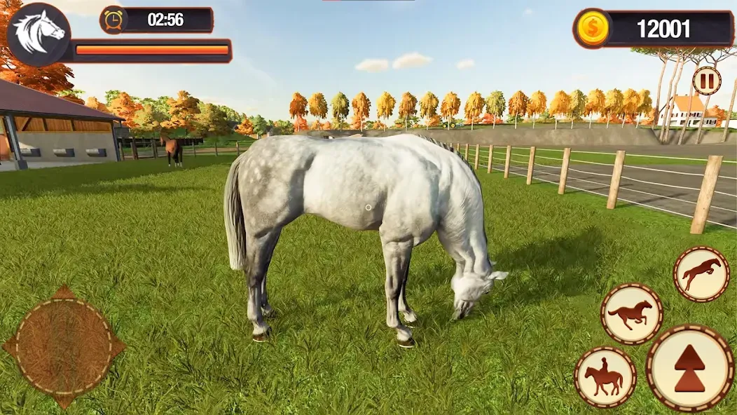 My Horse Herd Care Simulator (Мой симулятор ухода за стадом лошадей)  [МОД Меню] Screenshot 5
