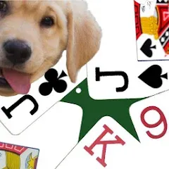 Скачать взлом K9 Euchre (К9 Юкер)  [МОД Меню] - стабильная версия apk на Андроид