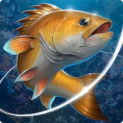 Взломанная Fishing Hook  [МОД Menu] - последняя версия apk на Андроид
