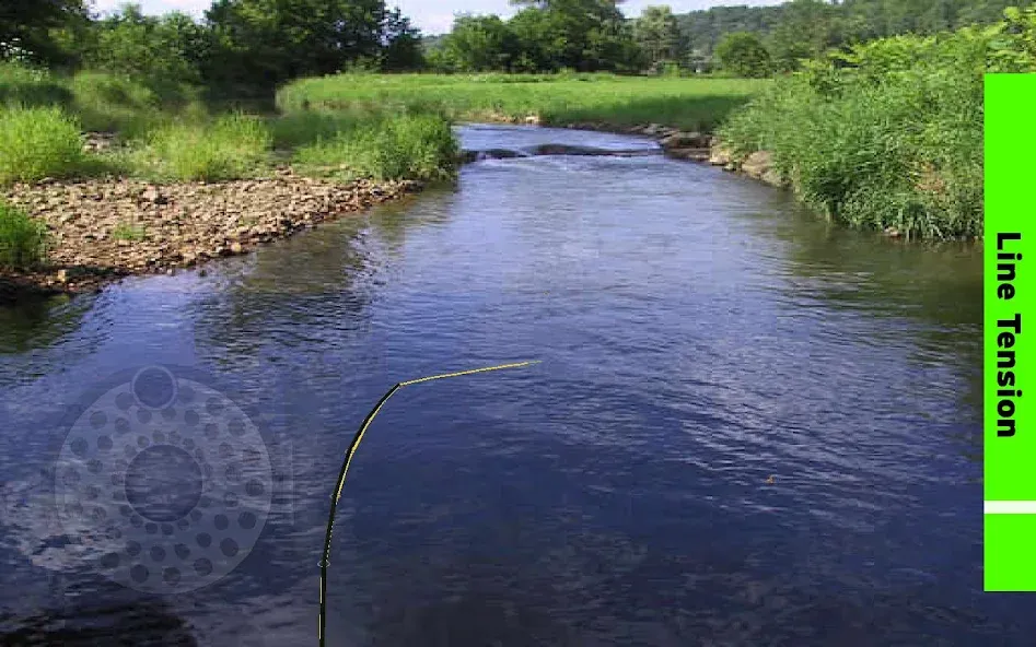 Fly Fishing Simulator (Флай Фишинг Симулятор)  [МОД Unlimited Money] Screenshot 4