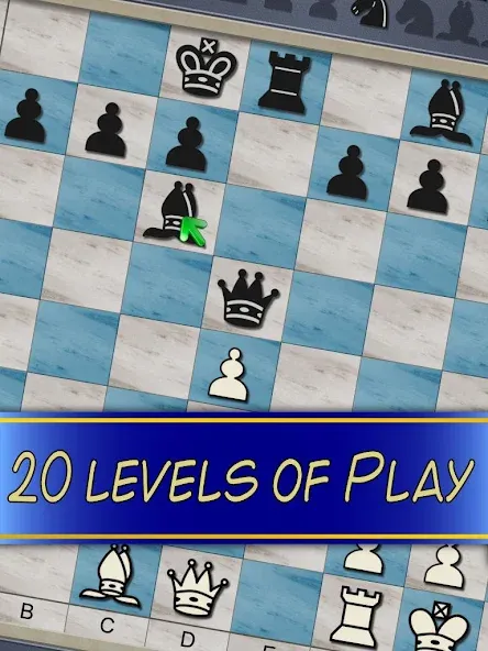 Chess V+ - board game of kings  [МОД Mega Pack] Screenshot 5